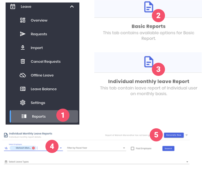 Individual Monthly Leave Report