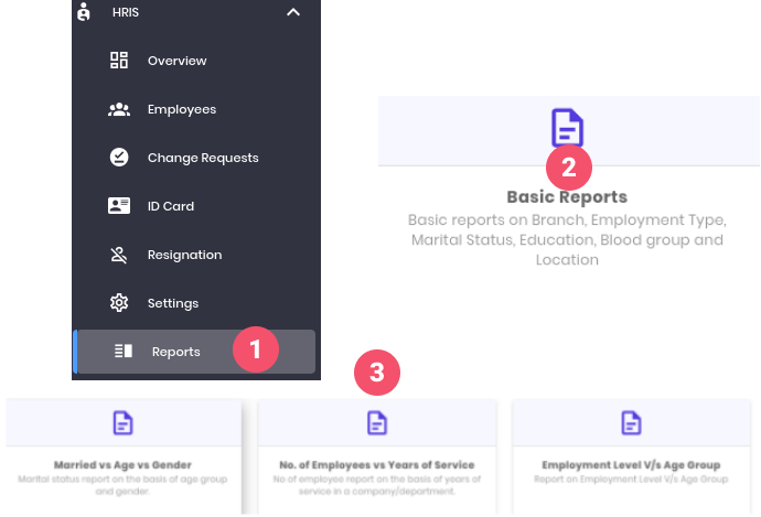 Multicomparative report view